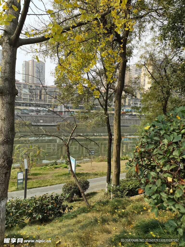 城市中的静谧绿意公园