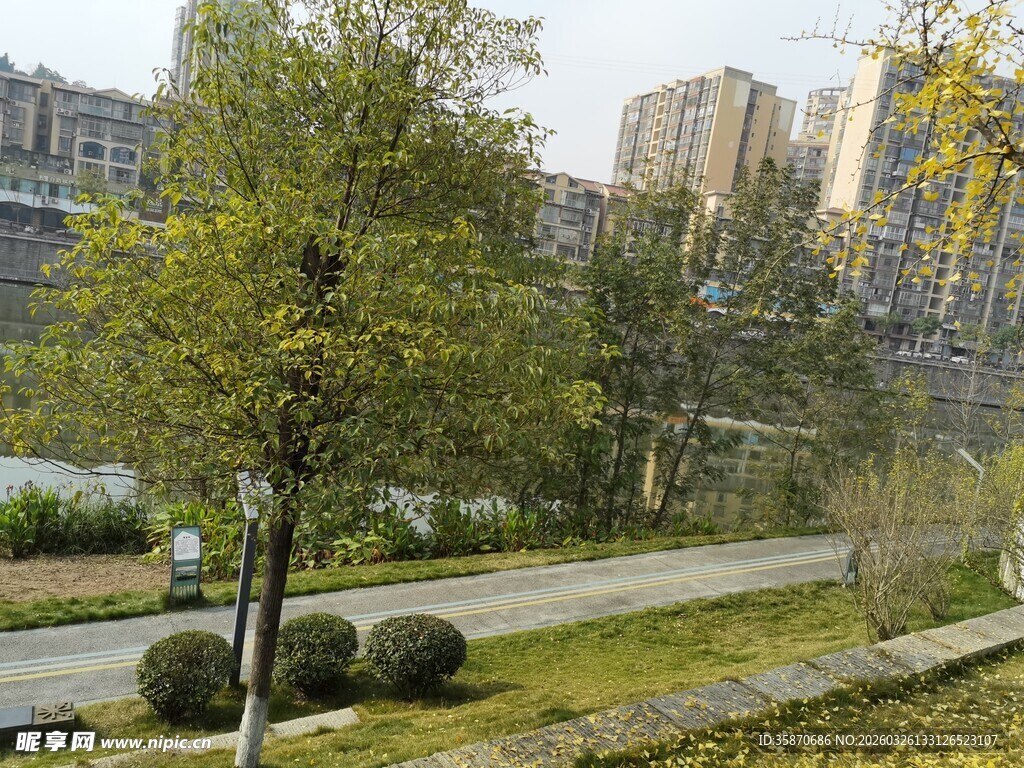 城市中静谧的绿化景观