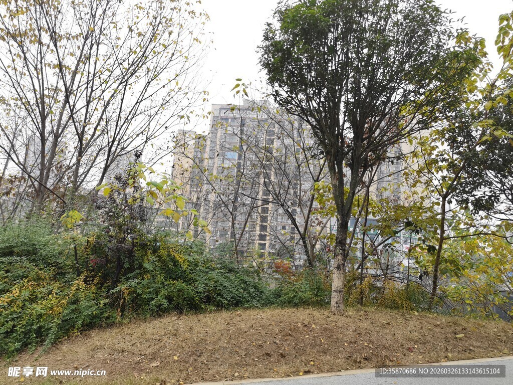 城市中的绿化景观一角