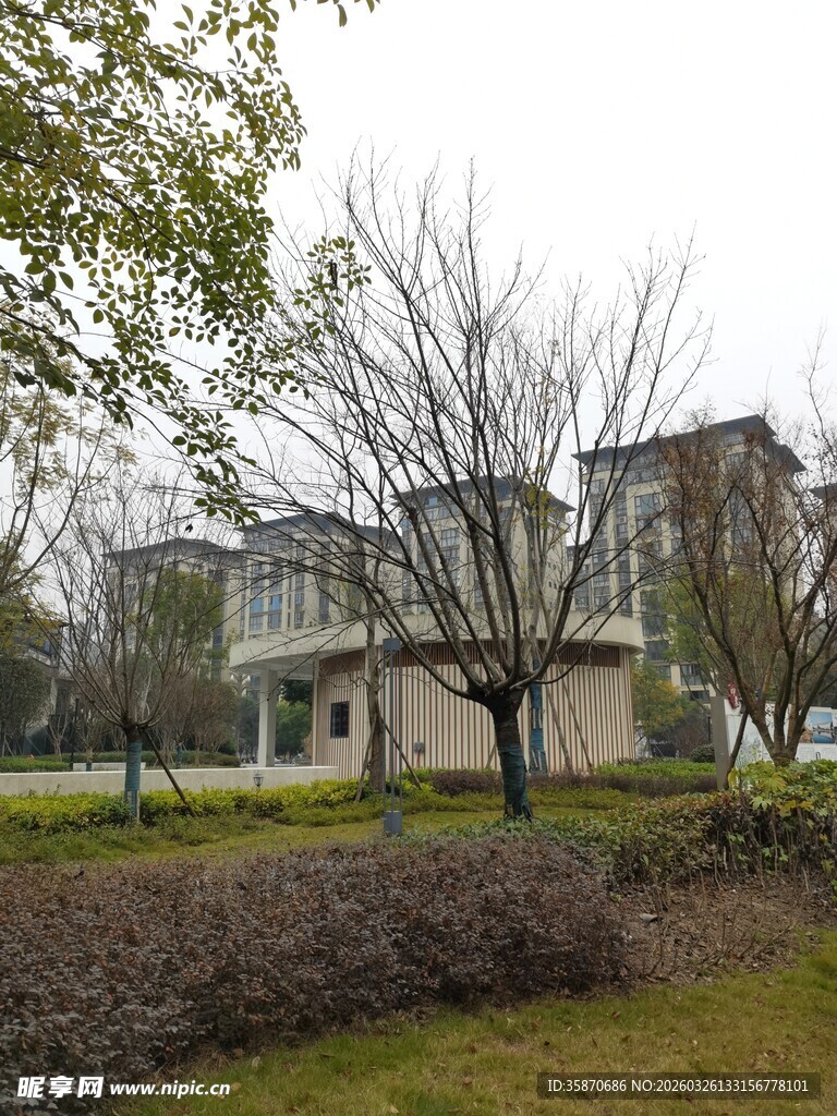 现代风格建筑周边景致