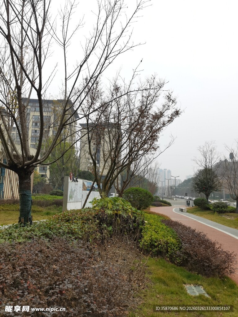 城市中的静谧绿化景观