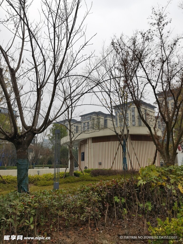 郊外萧瑟树木旁的建筑