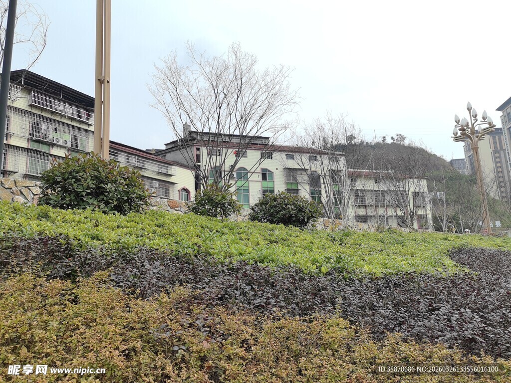 荒废建筑群尽显萧瑟之态