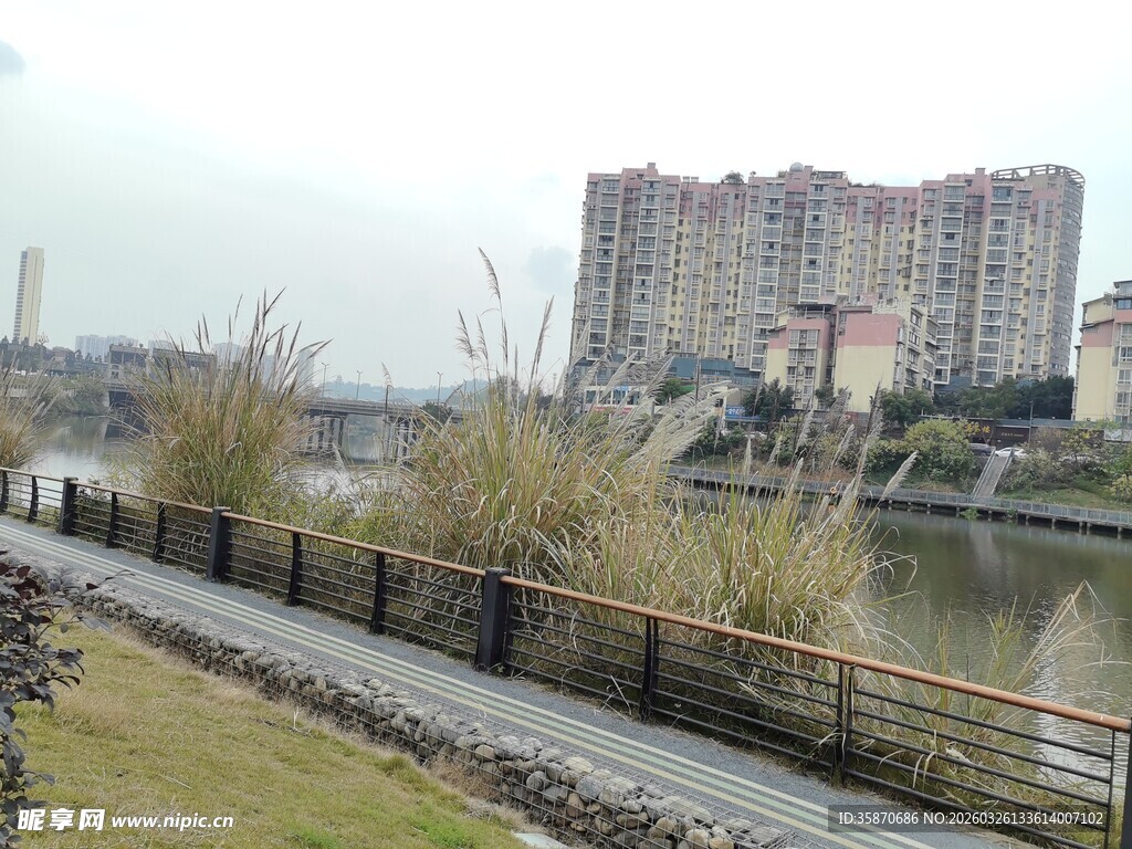 河畔步道旁的城市建筑景观