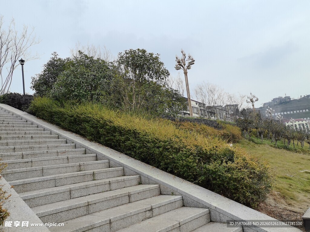 户外石阶旁的绿植景观