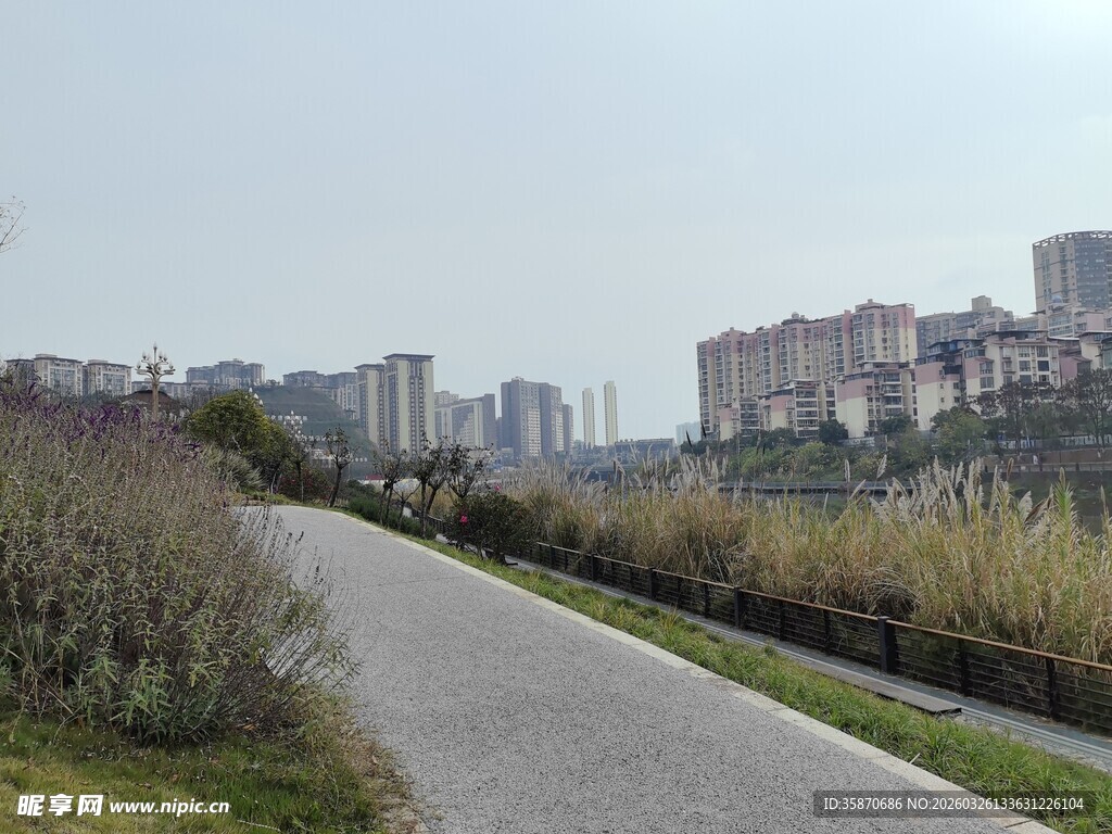 城郊小路旁的城市建筑景观