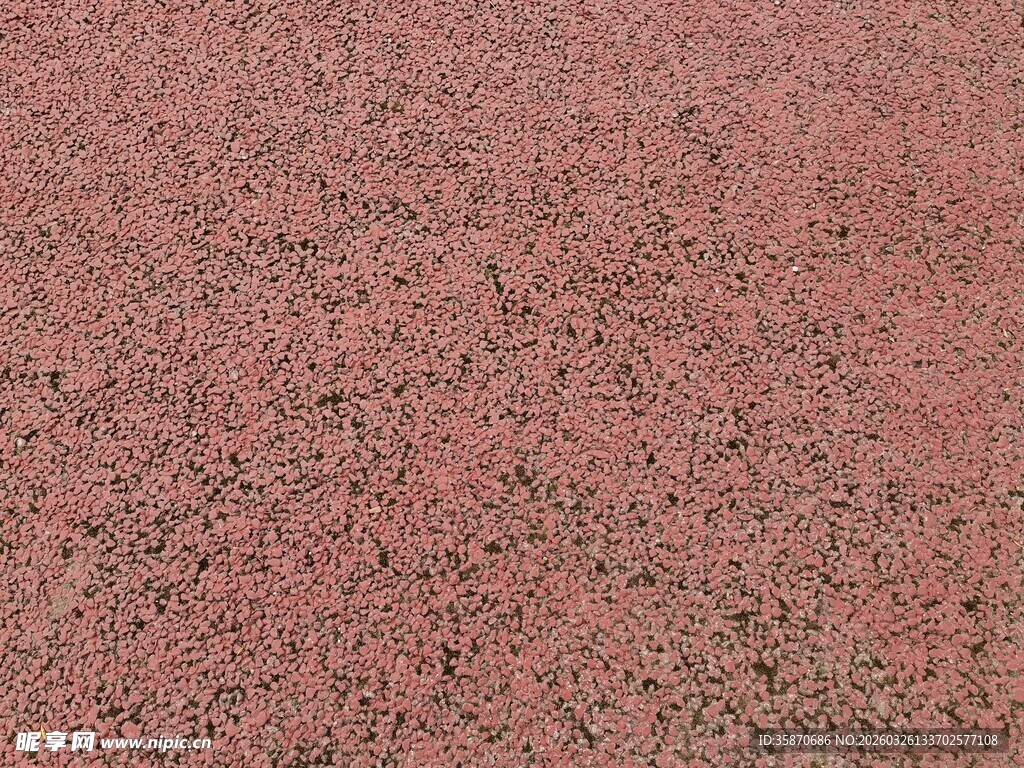 粉红色颗粒质感地面纹理