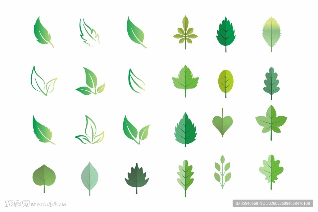 多样绿叶矢量素材集合