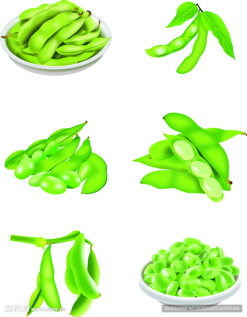 多样青嫩蚕豆展示