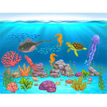 海底世界的多彩生物景观