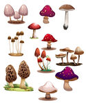 N多彩蘑菇插画集合