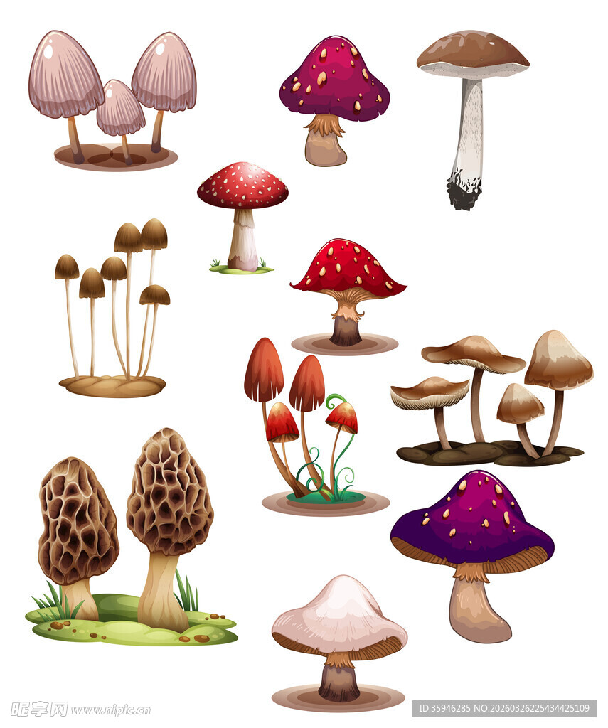 N多彩蘑菇插画集合