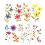 N手绘多彩花卉图案集合