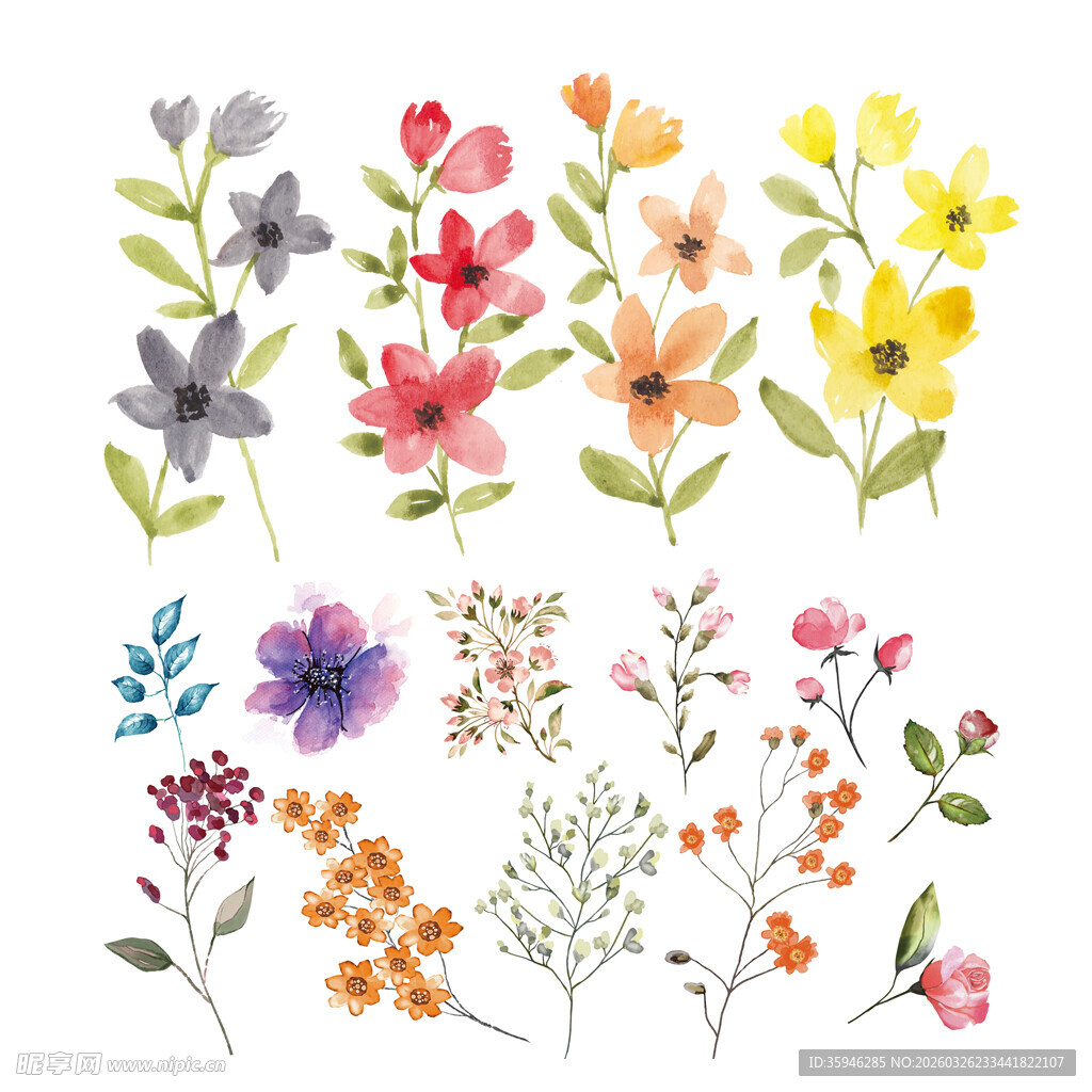 N手绘多彩花卉图案集合
