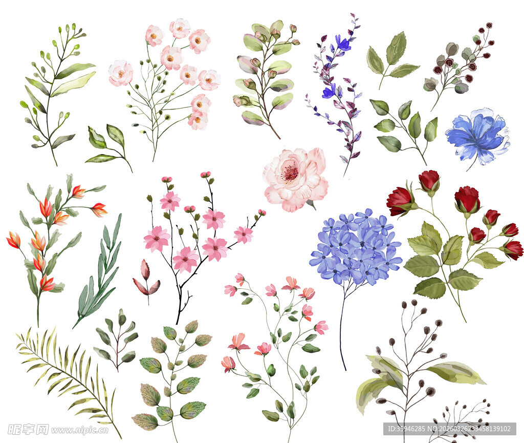 N手绘清新花卉植物素材