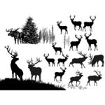 Z群鹿在林间的剪影画面