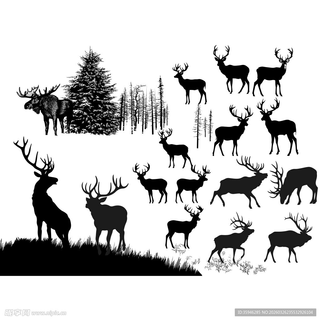 Z群鹿在林间的剪影画面