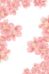 粉色樱花花卉背景图