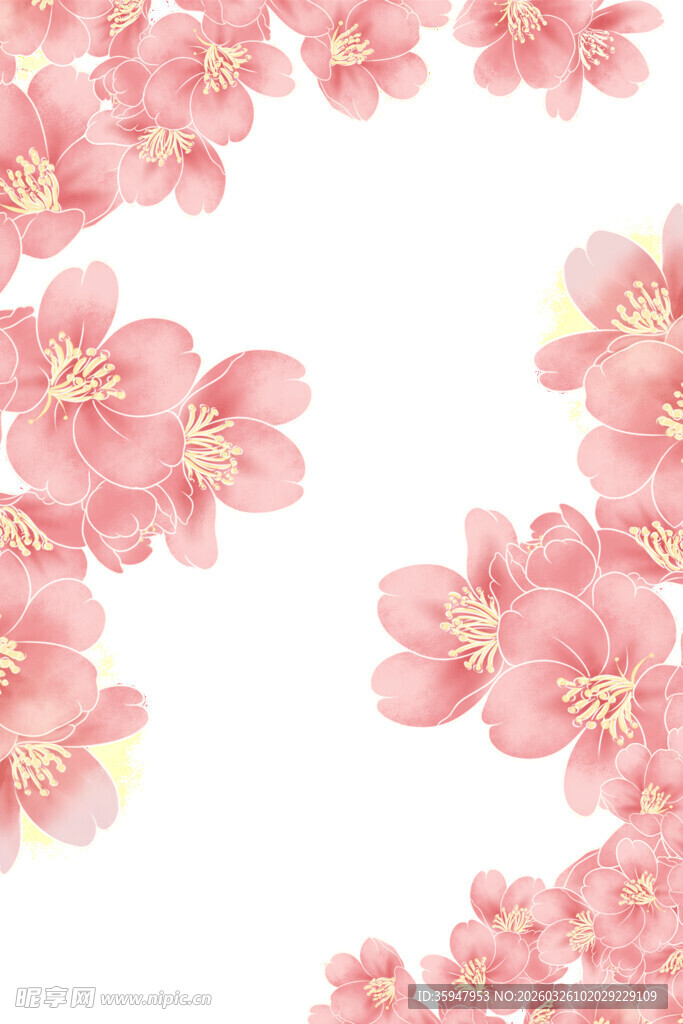 粉色樱花花卉背景图