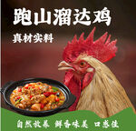 农家土菜 海报 灯箱