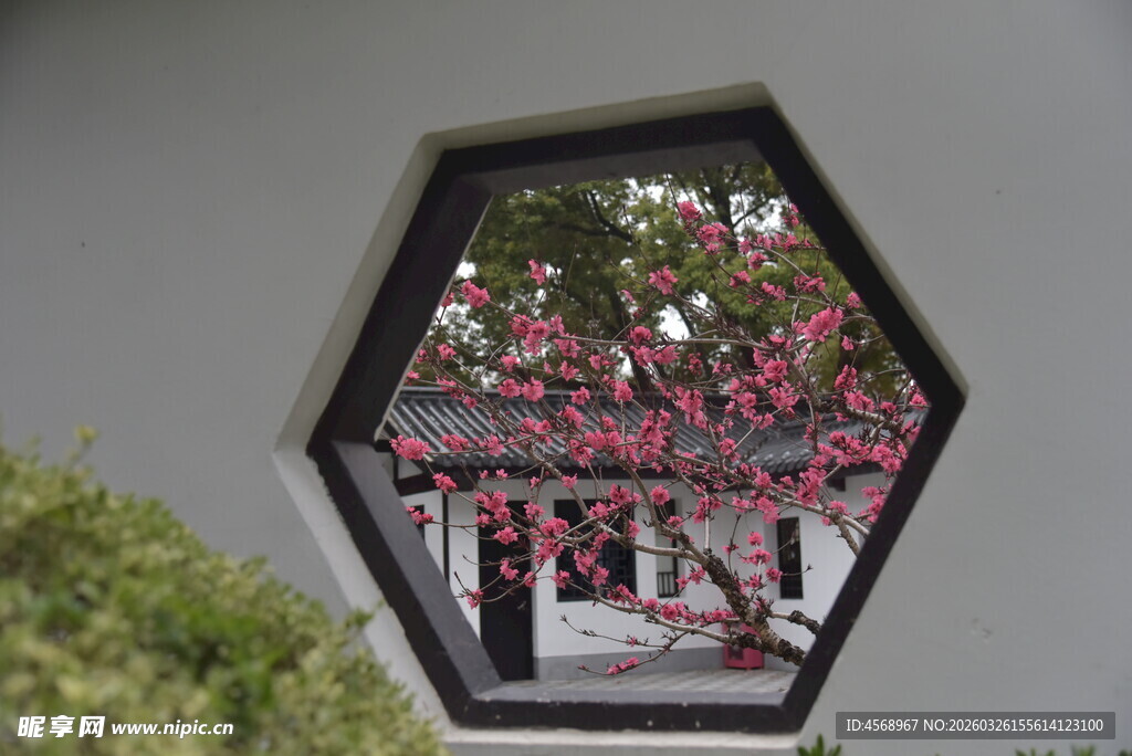 六角窗中赏烂漫繁花