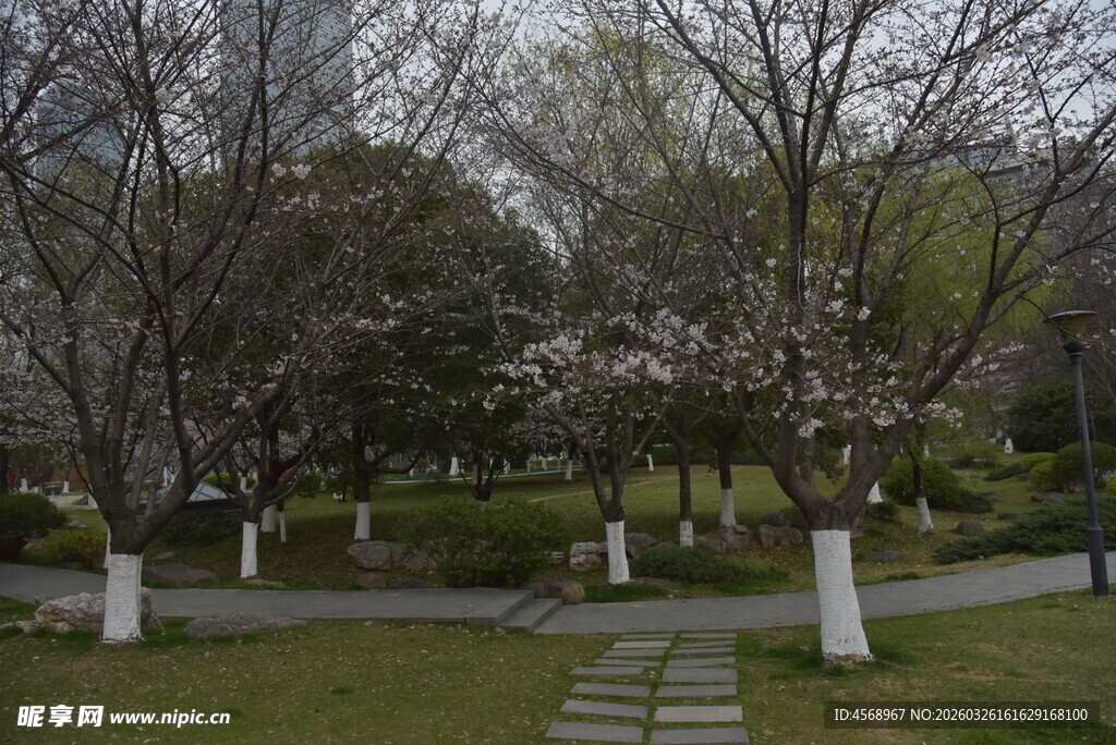 春日公园小径  繁花与绿树
