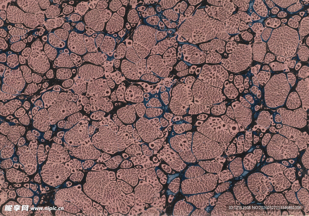 干裂的红褐色地面纹理