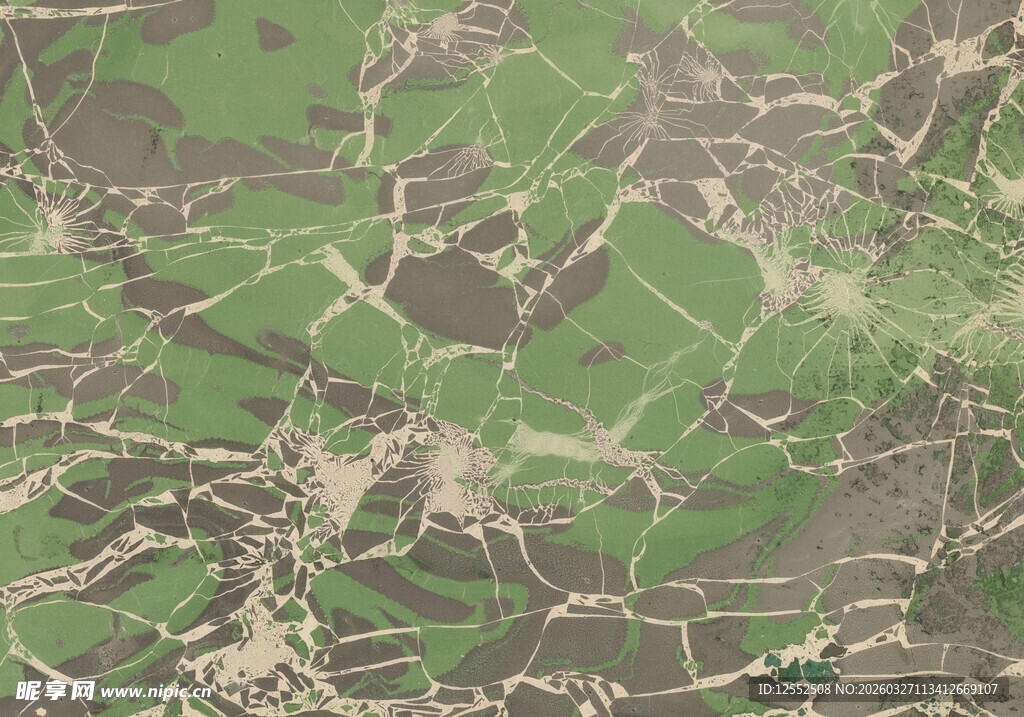 俯瞰绿色农田景观