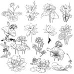 手绘花卉图案集合