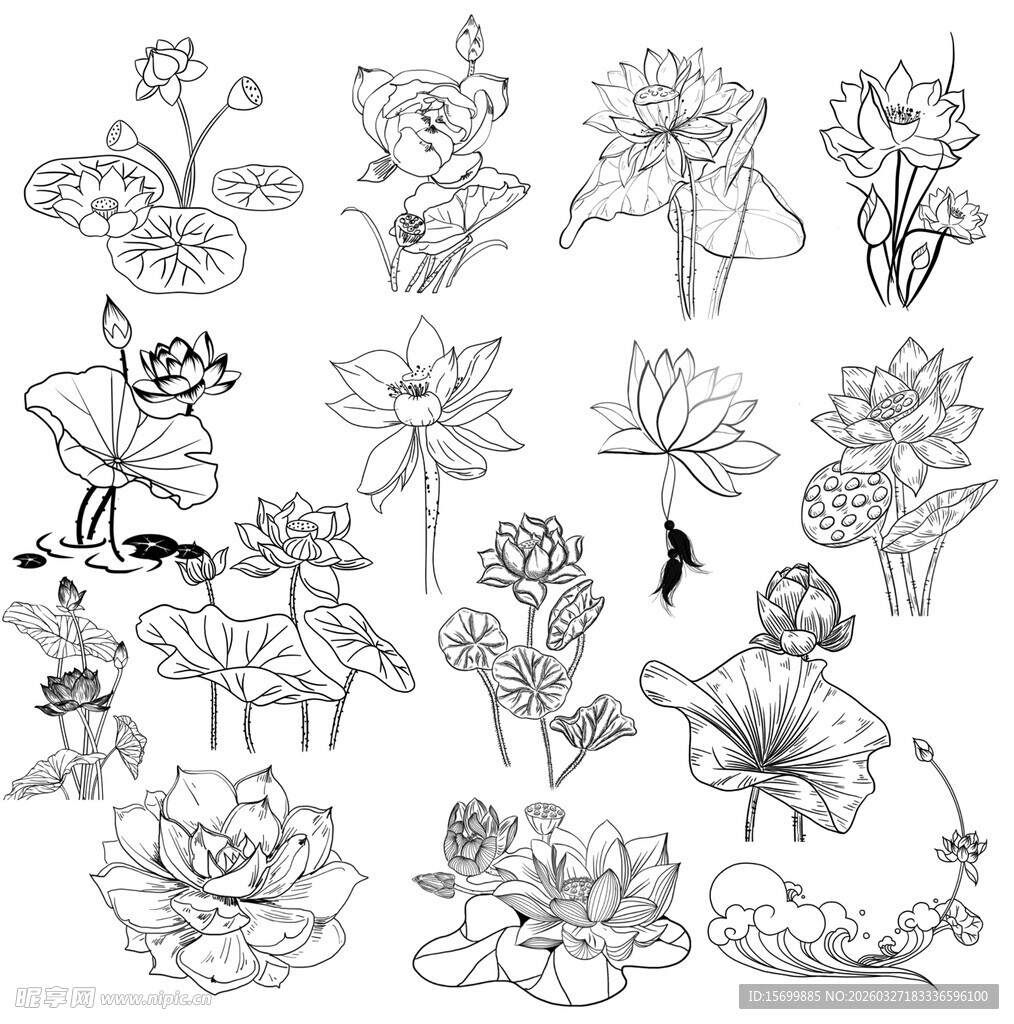 手绘花卉图案集合