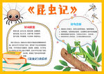 昆虫记好词好句暑假阅读手抄报