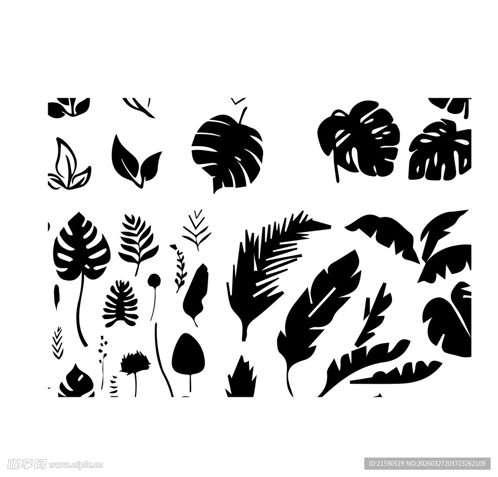 黑白植物叶片剪影素材