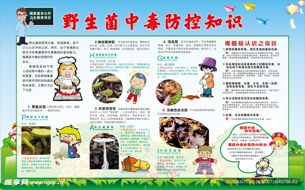 毒蘑菇知识 