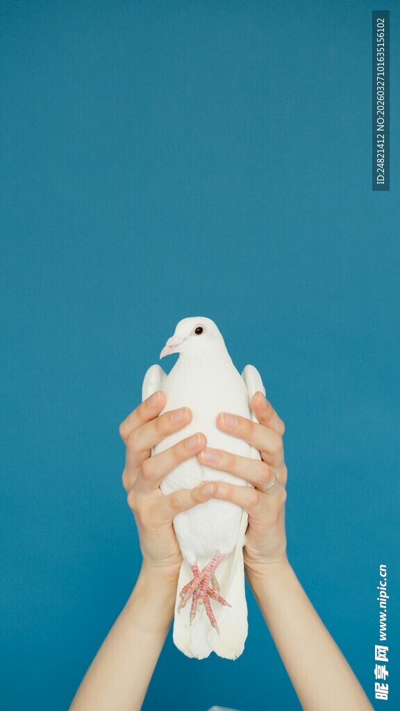 双手捧起的精致折纸鱼