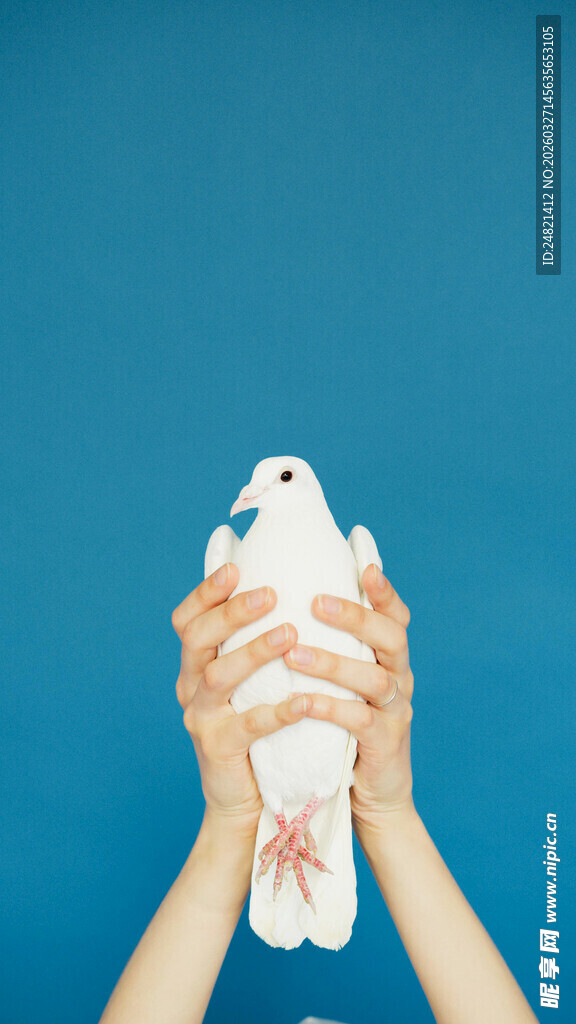 双手捧起可爱折纸鱼