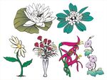 多样花卉手绘插画