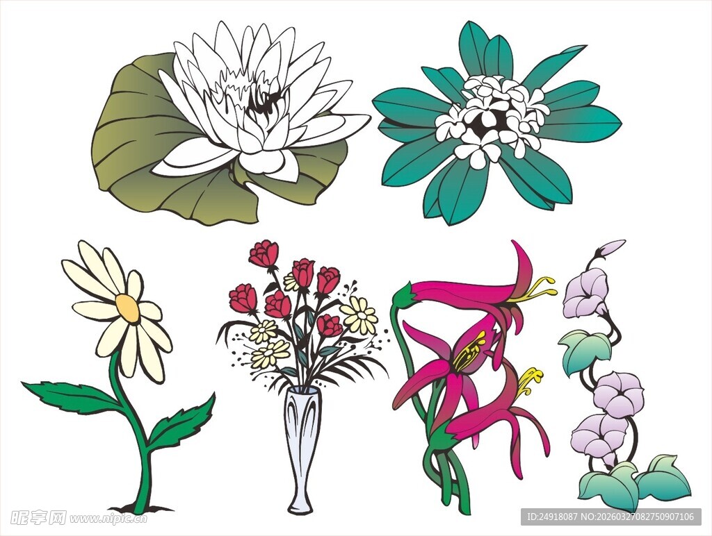 多样花卉手绘插画