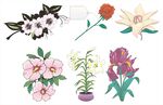 多彩花卉图案素材