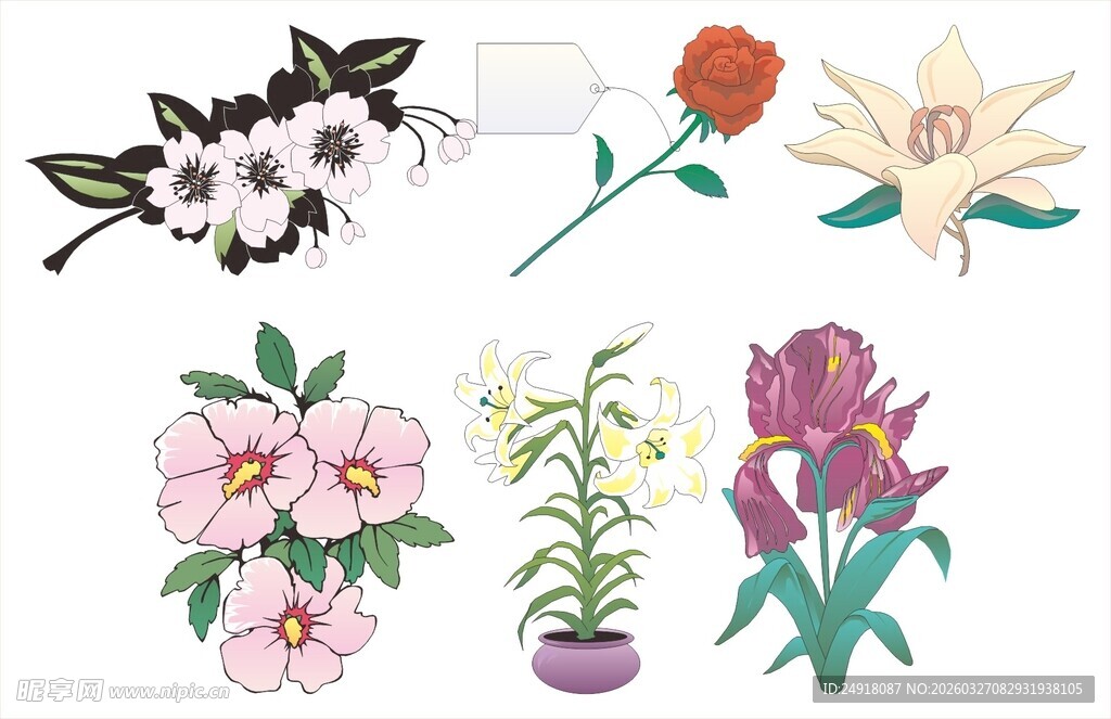 多彩花卉图案素材