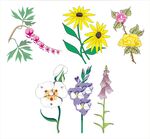 手绘多彩花卉植物素材