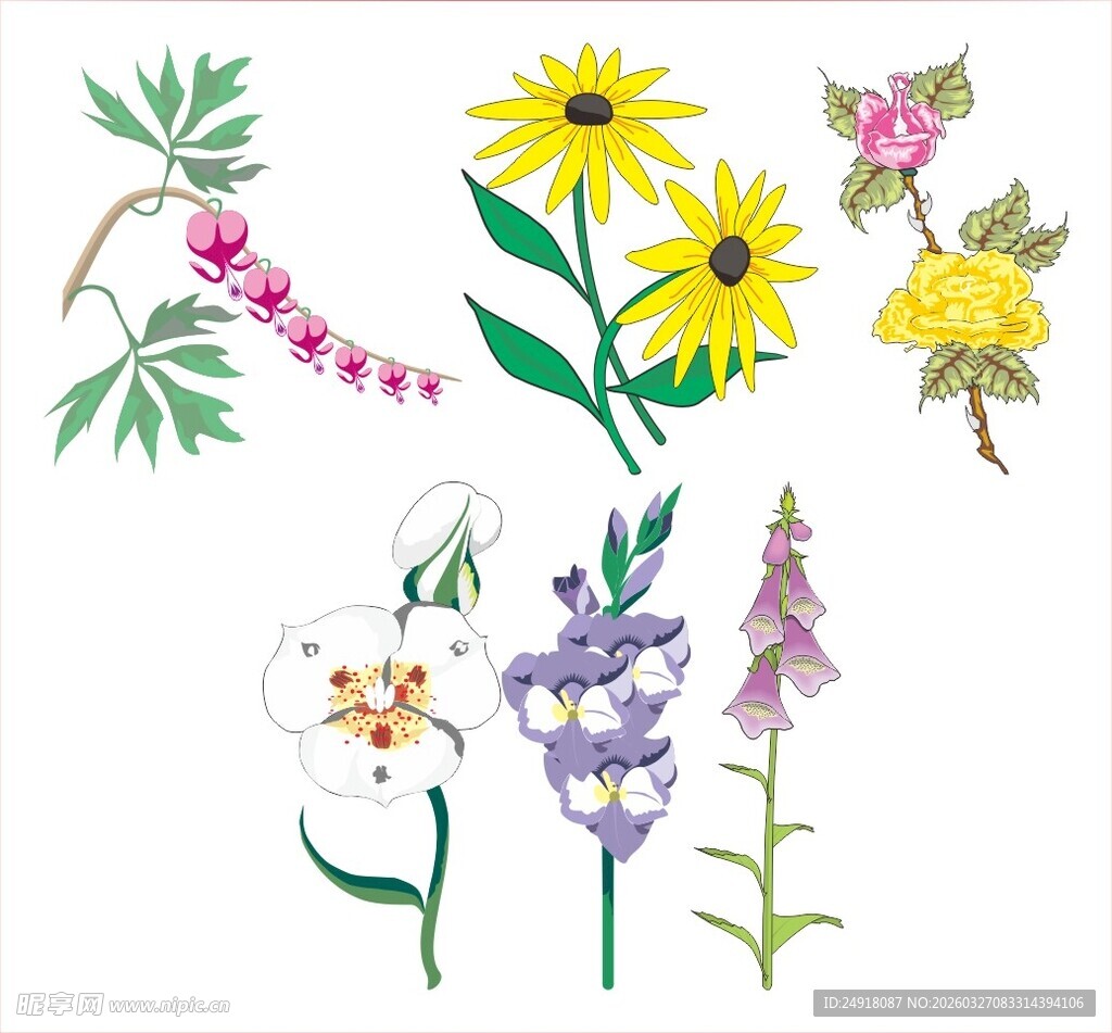 手绘多彩花卉植物素材