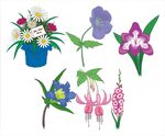 多彩花卉插画图案集合