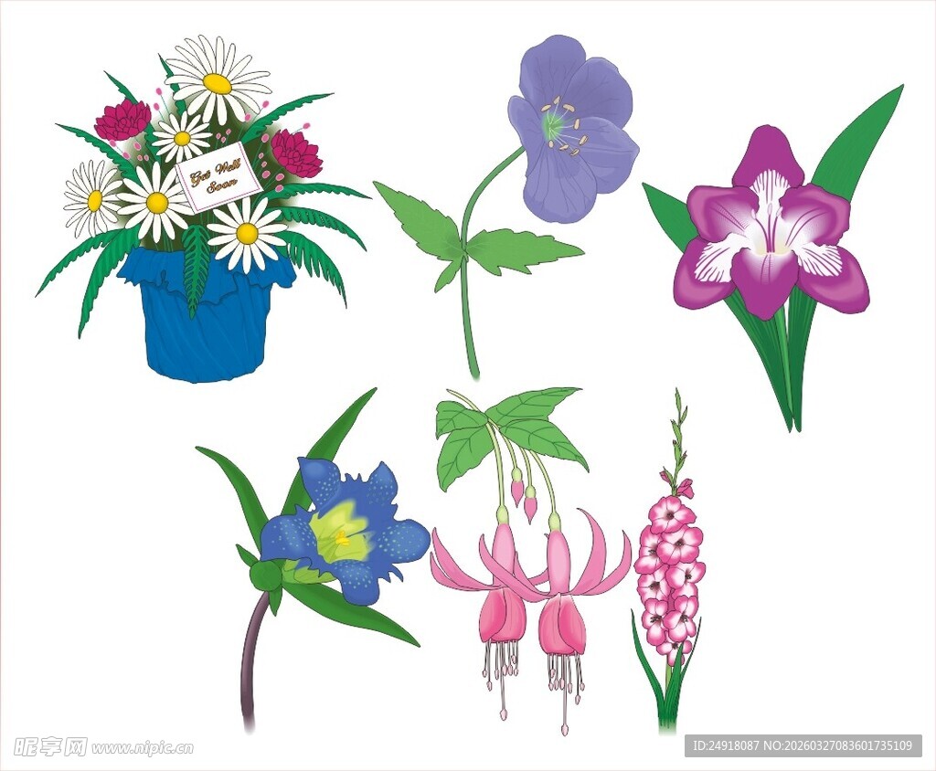 多彩花卉插画图案集合