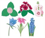 多彩花卉图案集合