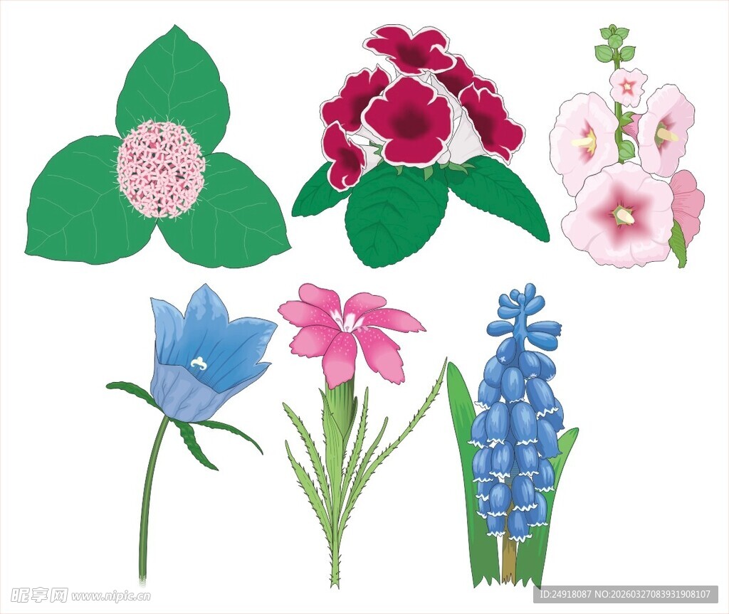 多彩花卉图案集合