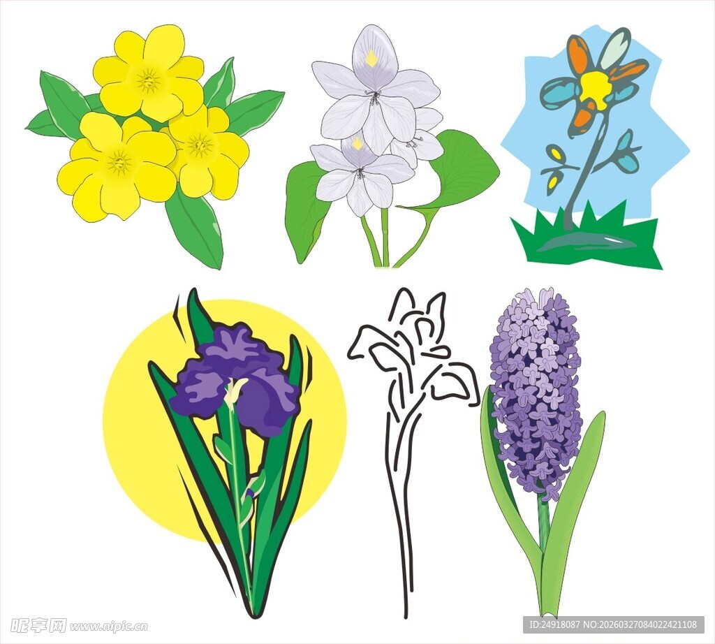 多彩花卉插画集合