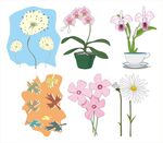 多彩花卉插画素材集合