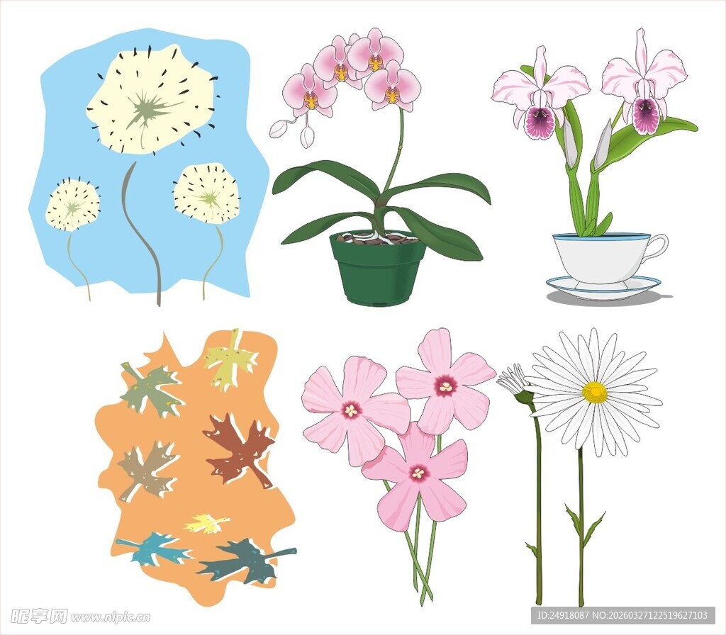 多彩花卉插画素材集合