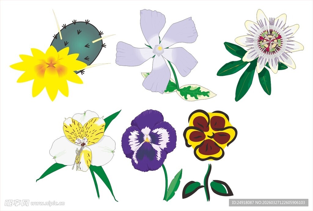 多彩手绘花卉图案展示