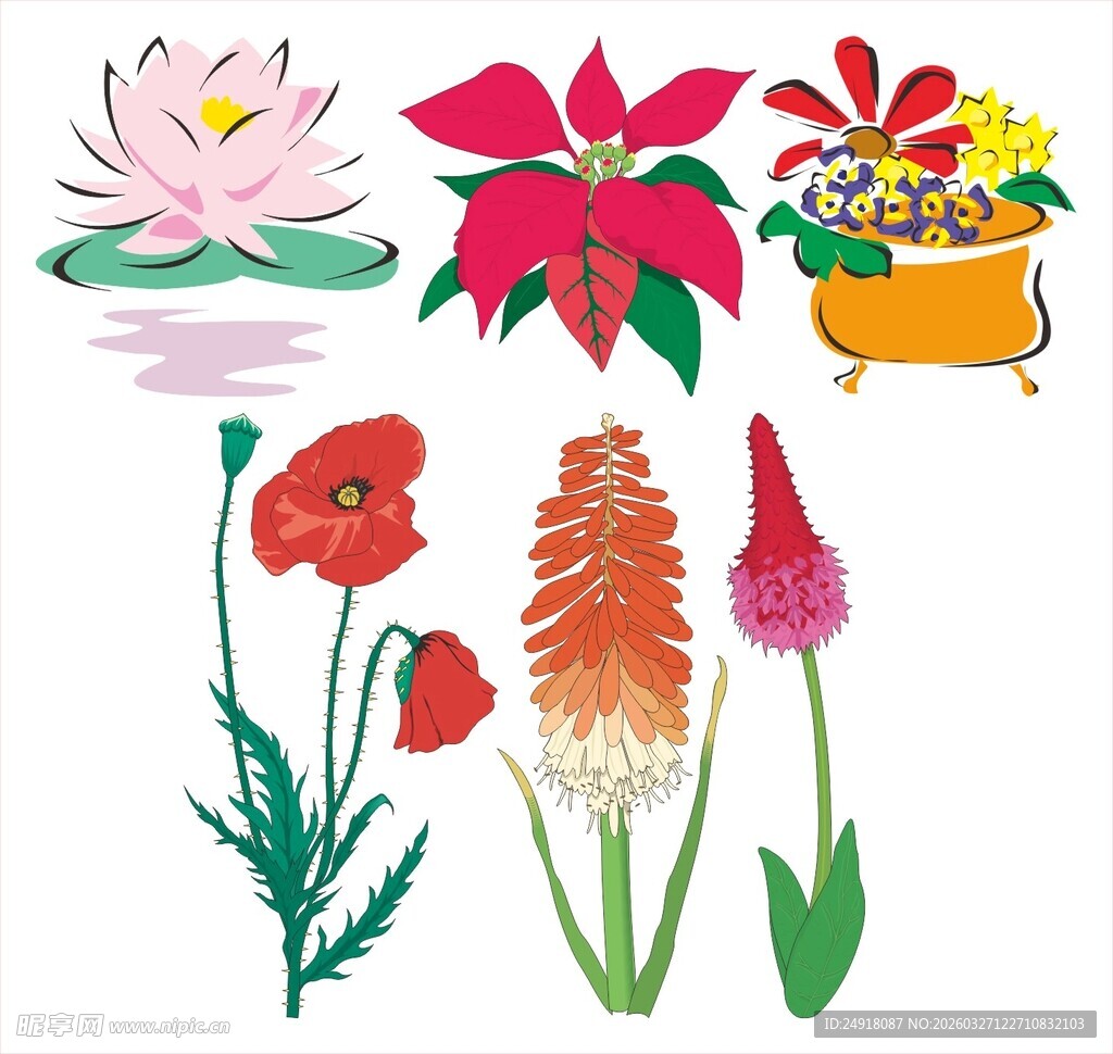 多彩花卉插画集合 矢量鲜花